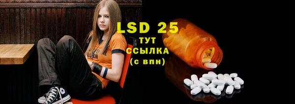 a pvp Бородино