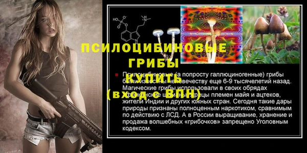 a pvp Бородино