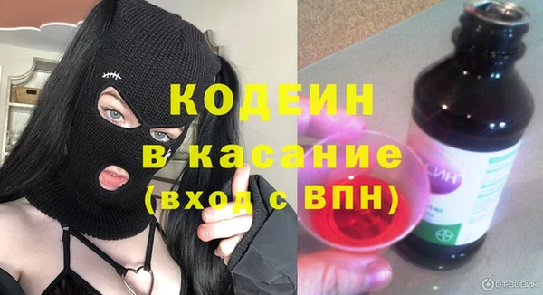 дурь Туринск