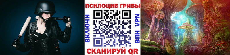 МЕГА ТОР  Кизляр  Псилоцибиновые грибы мухоморы 
